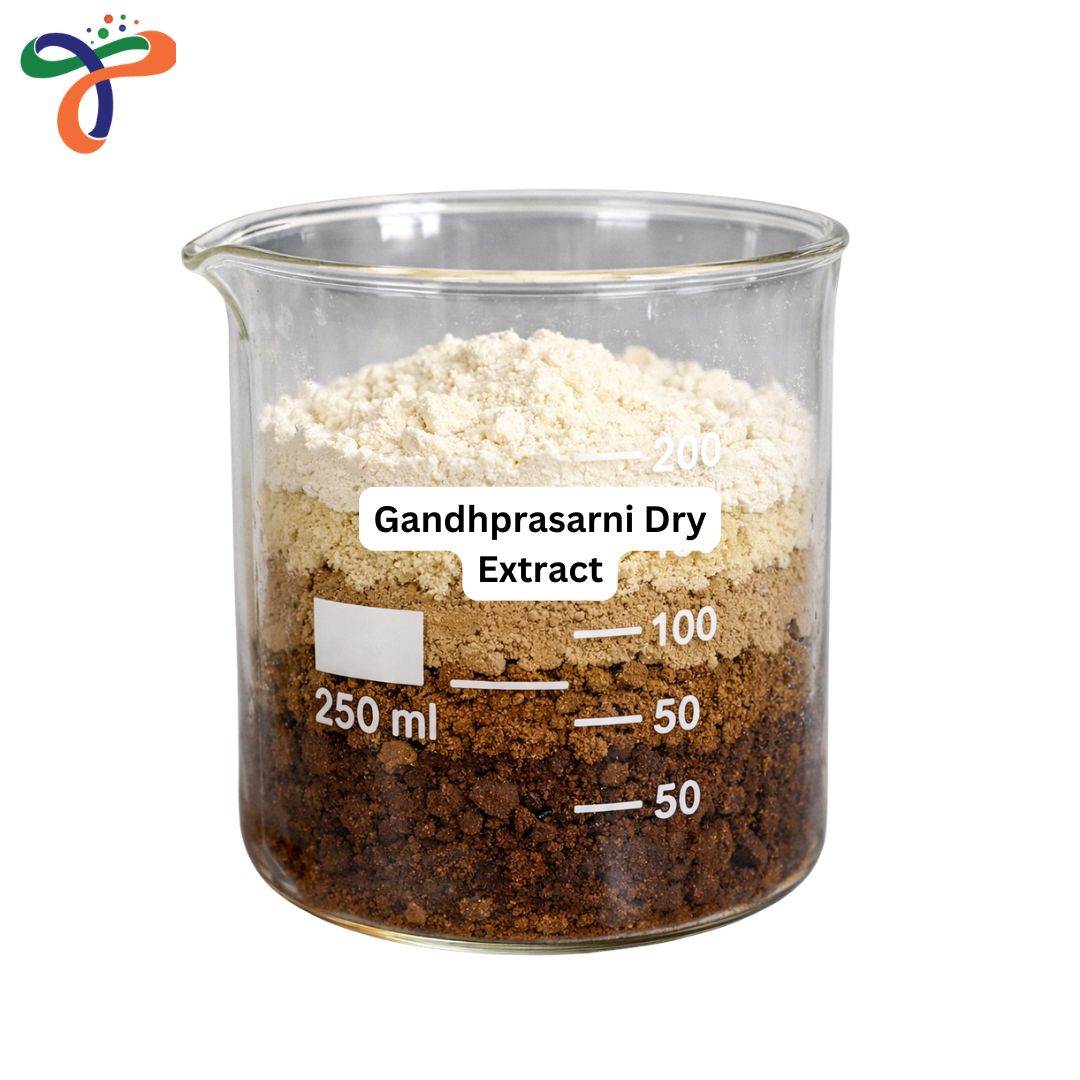 Gandhprasarni Dry Extract